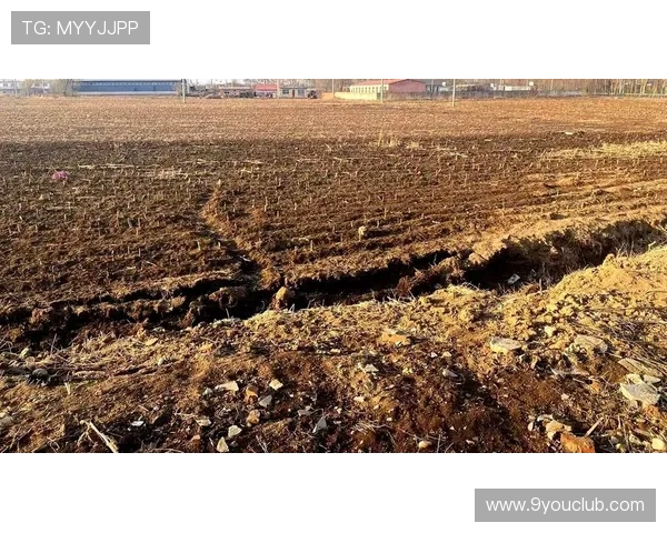 J9九游会平台用户评价与反馈，真实玩家体验分享与建议汇总